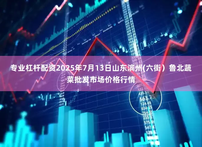 专业杠杆配资2025年7月13日山东滨州(六街）鲁北蔬菜批发市场价格行情